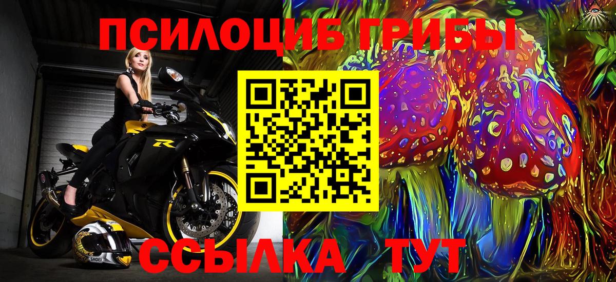Галлюциногенные грибы GOLDEN TEACHER Балаково
